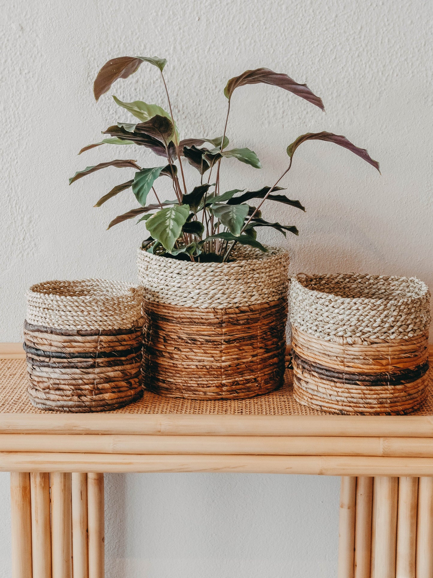 Cesto Asmara Natural - Artisan Crafted Decorative Basket