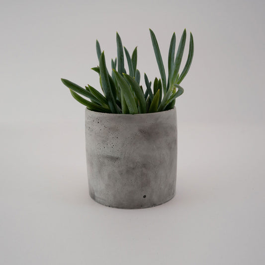 Pink Marble Medium Planter for Stylish Home Spaces