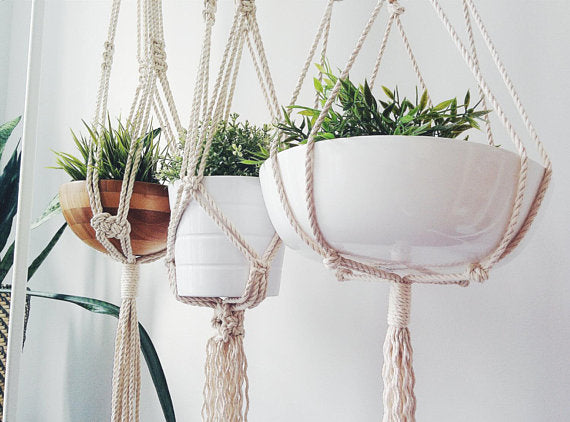 Macrame Plant Hanger For Stylish Indoor Decor Display